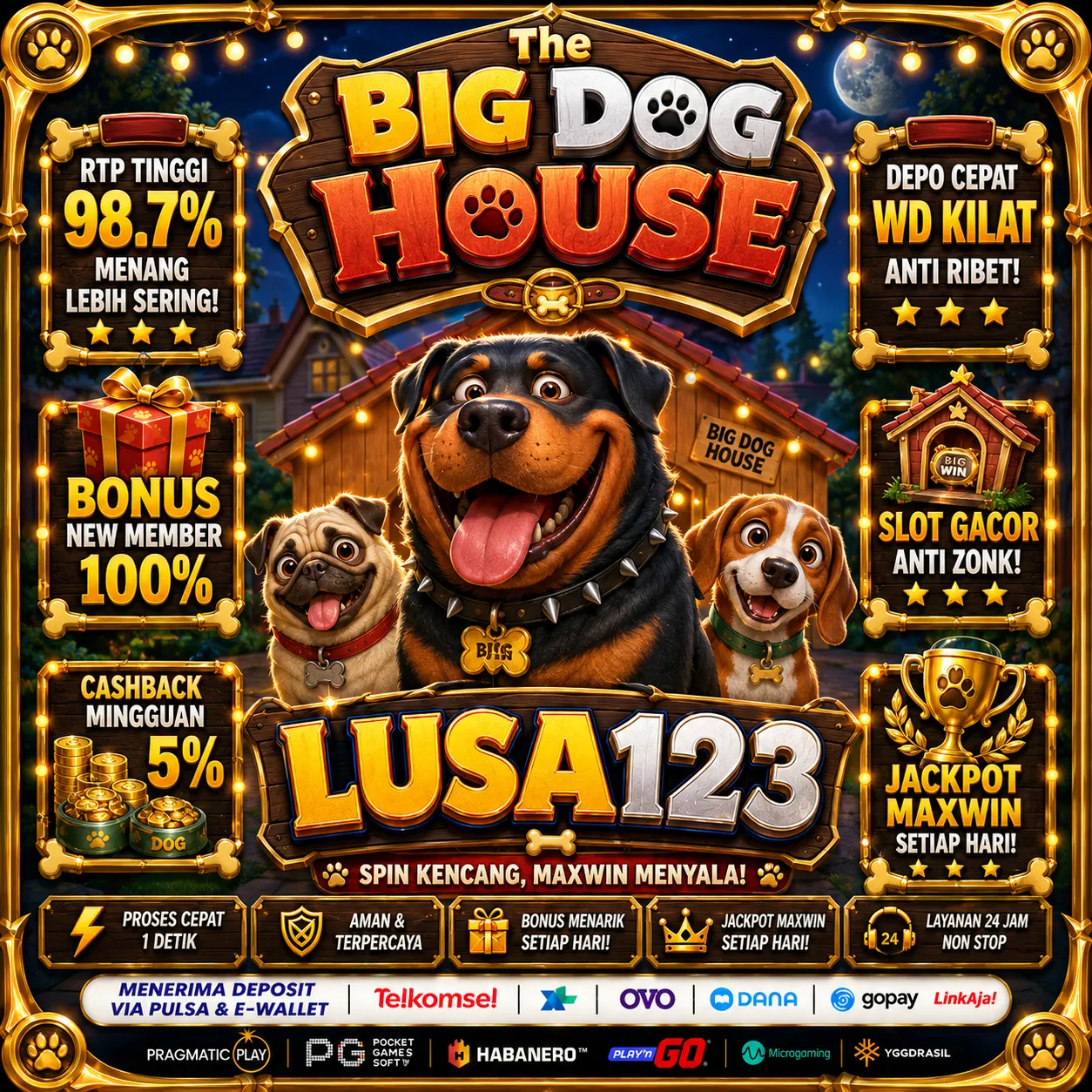 LUSA123Banner